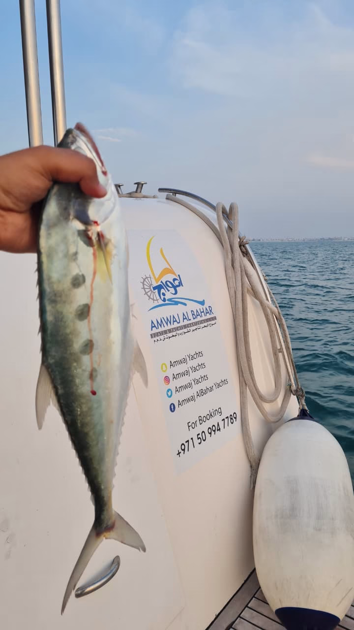 Deep sea fishing team building trips Dubai on private yacht